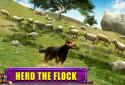 Shepherd Dog Simulator 3D