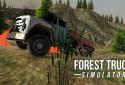 Лісовий вантажівка ігри