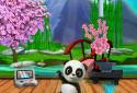 Daily Panda: домашня тварина
