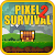 Pixel Survival Game 2