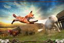 Wild Fox Adventures 2016