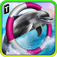 Dolphin Racing 3D