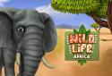 PetWorld: WildLife Africa