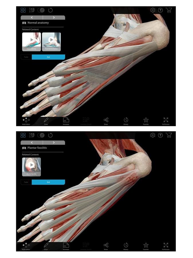 3d muscle premium 2 ipa app for iphone