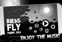 Birds Fly: Night Sky (Unreleased)