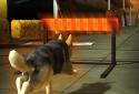 Dog Simulator 3D Games