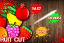 Fruit Cut Mania