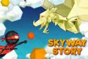 Skyway Story Ninja Arcade