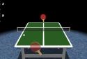 Table Tennis Master 3D