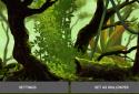 Mossy Forest Live Wallpaper