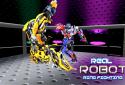 Real Robot Fighting Ring