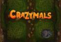 Crazymals: Jungle Adventure