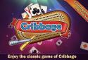 Cribbage Deluxe