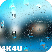 4K Rain Drops on Screen Video Live Wallpaper
