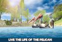 Pelican Bird Simulator 3D