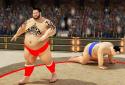 Sumo wrestling Revolution 2017: Pro Stars Fighting