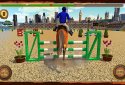 Horse Show Jumping Challenge