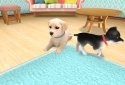 Dog Town: Pet Shop Game, Care & Play with Dog