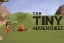 The Tiny Adventures