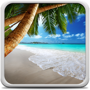 Tropical Beach Live Wallpaper