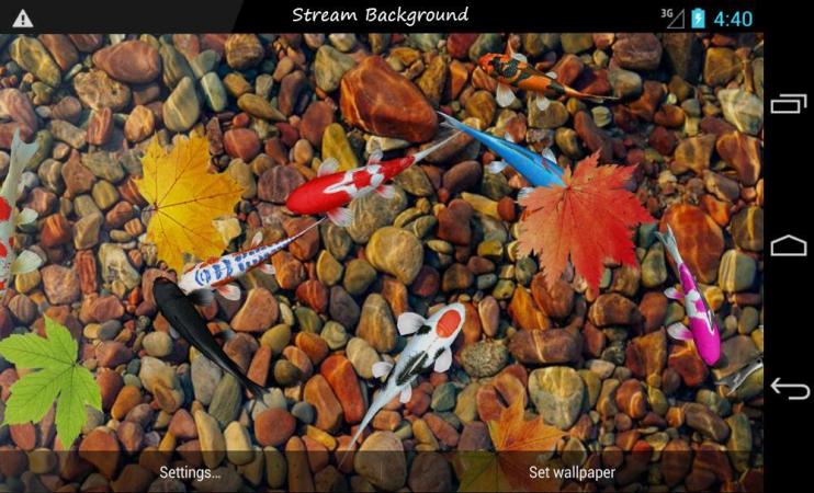 Koi Free Live Wallpaper 3D  APK for Android