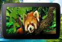 Animals 3D parallax live wallpaper