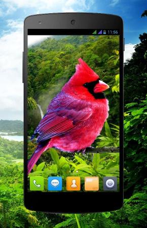 Birds 3D parallax live wallpaper  APK for Android