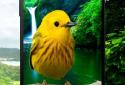 3D birds parallax live wallpaper