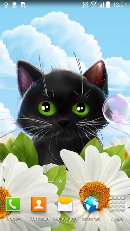animated cat iPhone Live Wallpaper  Download on PHONEKY iOS App