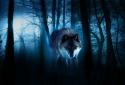 Wolves Night live wallpaper