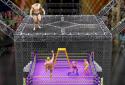 Cage Wrestling Revolution: Ladder Match Fighting