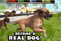 Ultimate Dog Simulator