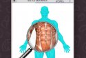 Анатомія Game Anatomicus Pro