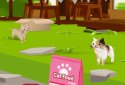 Cats and Sharks 3D game