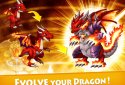 Dragon x Dragon -Sim City Game
