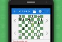 Chess Combinations Vol. 1
