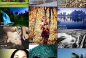 picTrove 2 Image Search