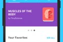 Tinycards by Duolingo: Fun & Free Flashcards