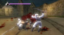 Ninja Gaiden Sigma Plus