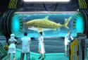 Whale Shark Attack Simulator