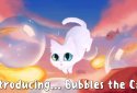 Bubbles the Cat