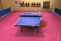 Table Tennis Recrafted: Genesis Edition 2019