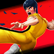 Kung Fu Attack 4 