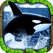 orca simulator