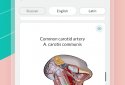 Easy Anatomy - Learn anatomy efficiently