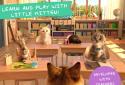Little Kitten School & Friends