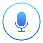 iRecord: Transcribe Voice Note