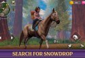 Star Equestrian - Horse Ranch