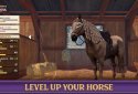 Star Equestrian - Horse Ranch