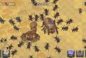 Ant Colony: Wild Forest